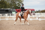 SBM_05904