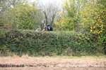 WJ6_7566