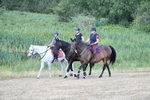 WJ7_8343