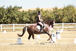 SBM_017377