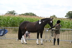 WJ6_6255