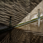 Ripples Reflected