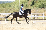 SBM_003380