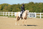 SBM_001565