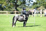 SBM_39563