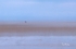 Couple on a beach