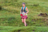 Tebay-523