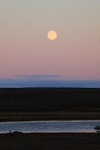 Moon in the sunset 4629