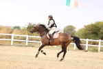 SBM_008084