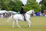SBM_02938