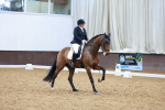 SBM_003811