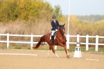SBM_009331