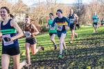 Cumbria XC-87