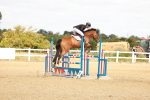 SBM_006893