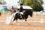 SBM_01651