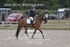 BPP_7794