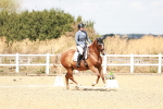 SBM_018161
