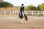 SBM_009342