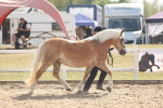 SBM_06828