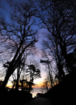 Approaching Meadfoot at sunrise