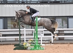BPP_4186