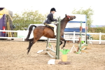 SBM_01407