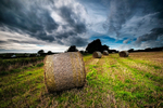 Haybales under Storm