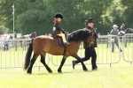SBM_05186