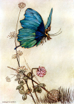 The Fairy Book 31