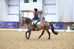 SBM_002264