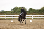 SBM_006786