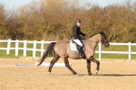 SBM_004564