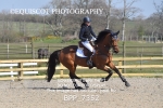 BPP_7352