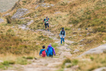 Peris Horseshoe-1028