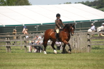 SBM_06884