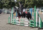 North Showjumping_2016-130