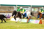 SBM_04804