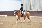 SBM_002271