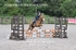 BPP_2721
