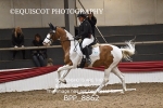 BPP_8862
