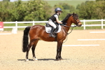 SBM_008653