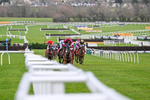240126-Race 4-Favori De Champdou-6836