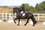 SBM_008265