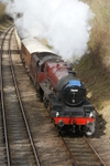 T1081