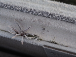 P2160228