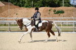 WJ5_8281