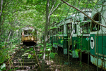 Trolley Graveyard | Last Stop