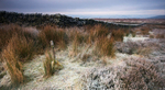 Beeley Moor Frosty post