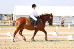 SBM_002755