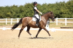 SBM_010605